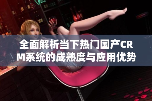 全面解析当下热门国产CRM系统的成熟度与应用优势