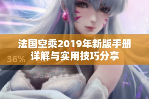 法国空乘2019年新版手册详解与实用技巧分享