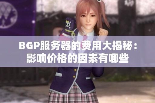 BGP服务器的费用大揭秘：影响价格的因素有哪些