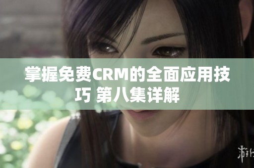 掌握免费CRM的全面应用技巧 第八集详解