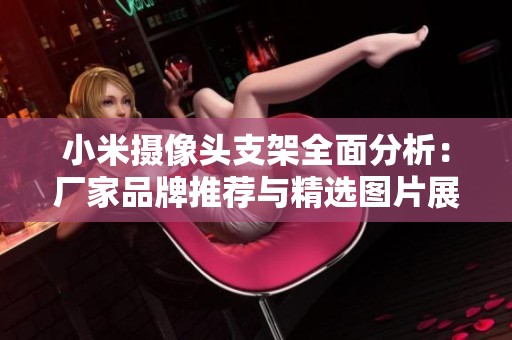 小米摄像头支架全面分析：厂家品牌推荐与精选图片展示