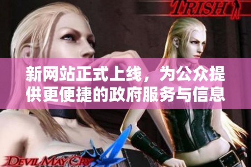 新网站正式上线，为公众提供更便捷的政府服务与信息平台