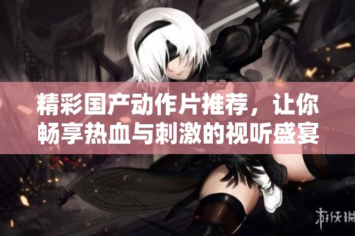 精彩国产动作片推荐，让你畅享热血与刺激的视听盛宴