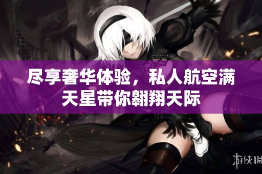 尽享奢华体验，私人航空满天星带你翱翔天际