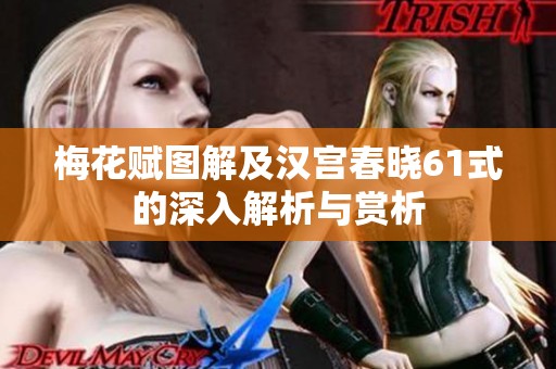 梅花赋图解及汉宫春晓61式的深入解析与赏析