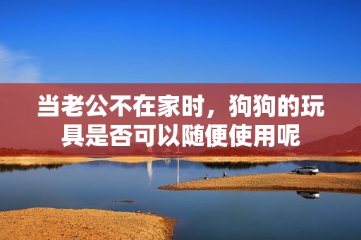 当老公不在家时，狗狗的玩具是否可以随便使用呢