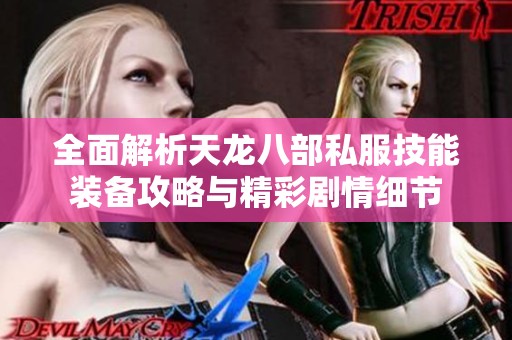 全面解析天龙八部私服技能装备攻略与精彩剧情细节