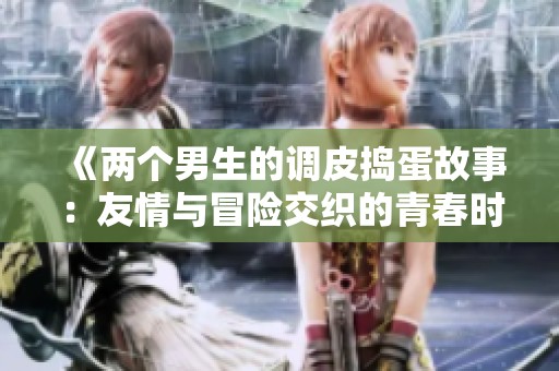 《两个男生的调皮捣蛋故事：友情与冒险交织的青春时光》