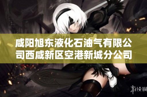 咸阳旭东液化石油气有限公司西咸新区空港新城分公司发展概况分析与展望