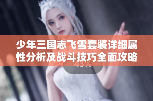 少年三国志飞雪套装详细属性分析及战斗技巧全面攻略
