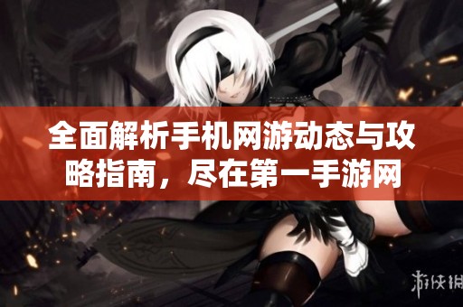 全面解析手机网游动态与攻略指南，尽在第一手游网