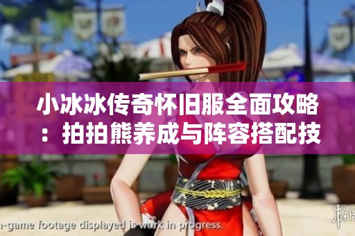 小冰冰传奇怀旧服全面攻略：拍拍熊养成与阵容搭配技巧解析