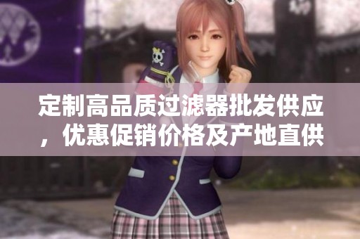 定制高品质过滤器批发供应，优惠促销价格及产地直供信息分享