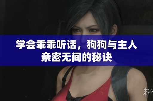 学会乖乖听话，狗狗与主人亲密无间的秘诀