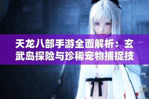 天龙八部手游全面解析：玄武岛探险与珍稀宠物捕捉技巧分享