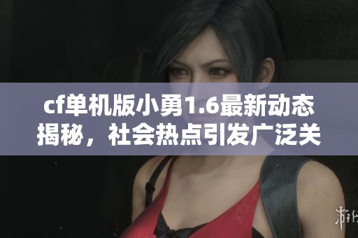 cf单机版小勇1.6最新动态揭秘，社会热点引发广泛关注