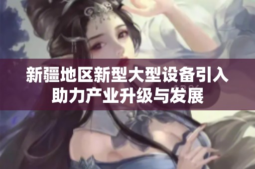 新疆地区新型大型设备引入助力产业升级与发展