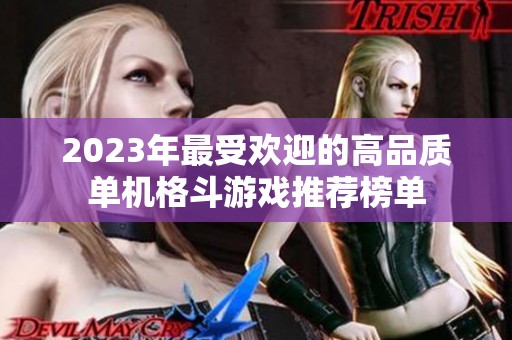 2023年最受欢迎的高品质单机格斗游戏推荐榜单