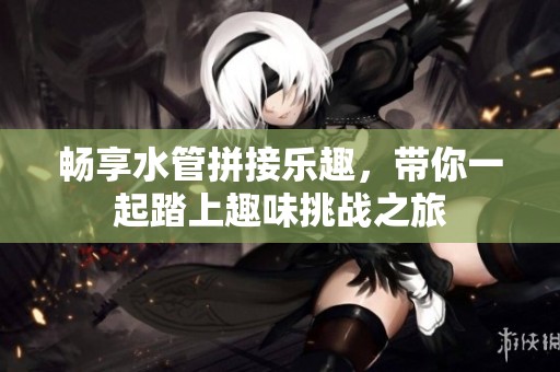 畅享水管拼接乐趣，带你一起踏上趣味挑战之旅