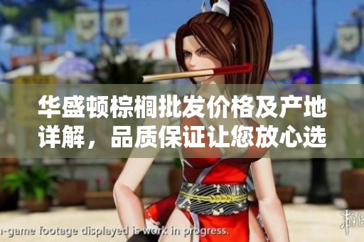 华盛顿棕榈批发价格及产地详解，品质保证让您放心选购