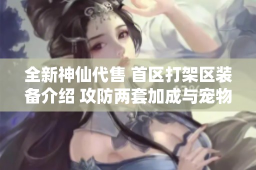 全新神仙代售 首区打架区装备介绍 攻防两套加成与宠物分析