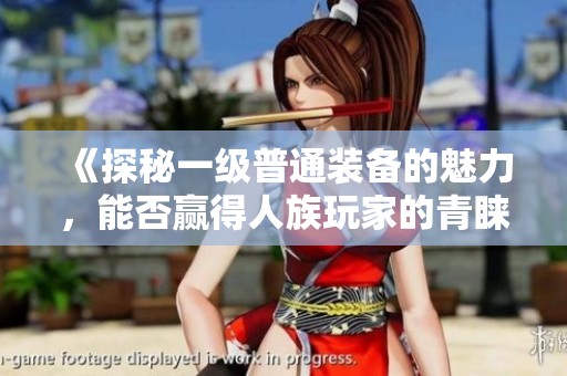 《探秘一级普通装备的魅力，能否赢得人族玩家的青睐》