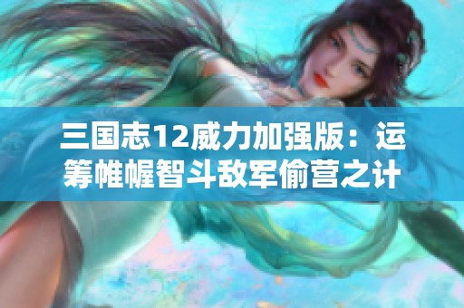 三国志12威力加强版：运筹帷幄智斗敌军偷营之计