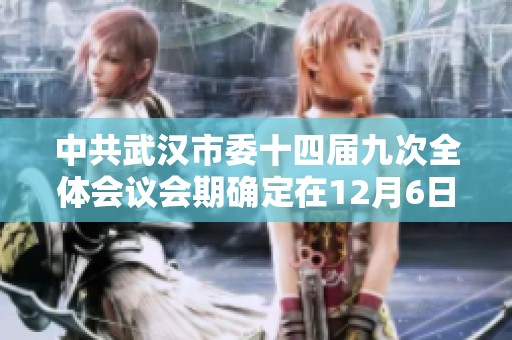中共武汉市委十四届九次全体会议会期确定在12月6日举行