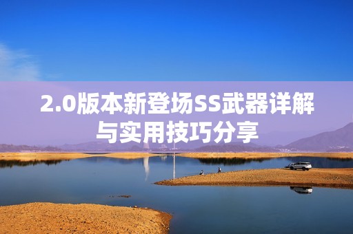 2.0版本新登场SS武器详解与实用技巧分享