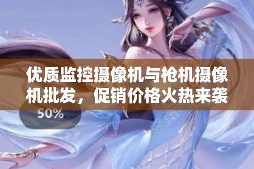 优质监控摄像机与枪机摄像机批发，促销价格火热来袭