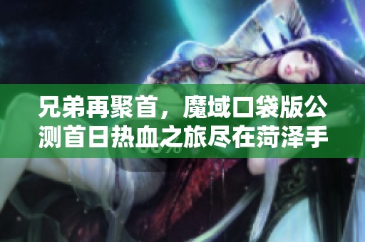兄弟再聚首，魔域口袋版公测首日热血之旅尽在菏泽手游网