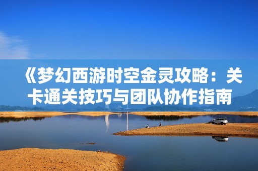 《梦幻西游时空金灵攻略：关卡通关技巧与团队协作指南》