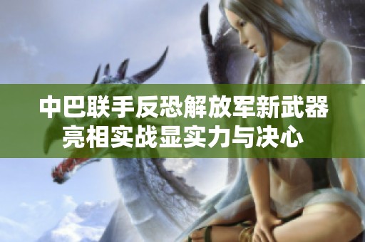 中巴联手反恐解放军新武器亮相实战显实力与决心