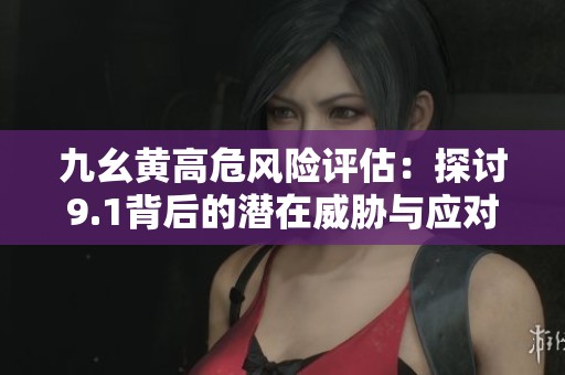 九幺黄高危风险评估：探讨9.1背后的潜在威胁与应对策略