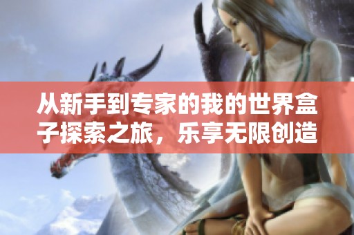 从新手到专家的我的世界盒子探索之旅，乐享无限创造乐趣