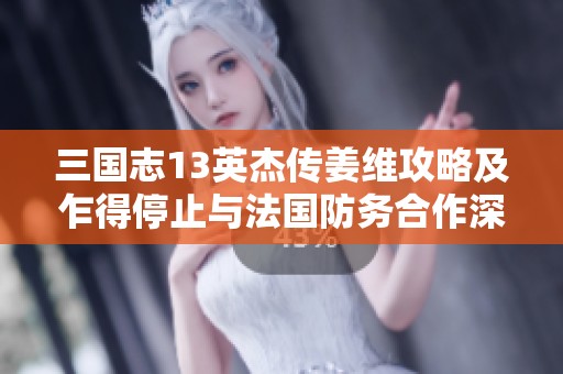 三国志13英杰传姜维攻略及乍得停止与法国防务合作深度解析