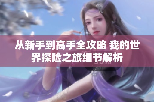 从新手到高手全攻略 我的世界探险之旅细节解析