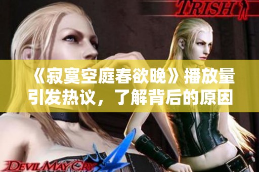 《寂寞空庭春欲晚》播放量引发热议，了解背后的原因与影响