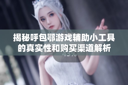 揭秘呼包鄂游戏辅助小工具的真实性和购买渠道解析