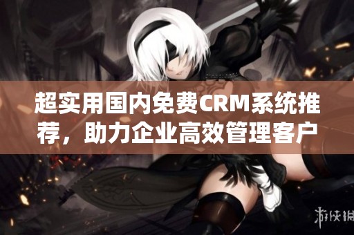 超实用国内免费CRM系统推荐，助力企业高效管理客户关系